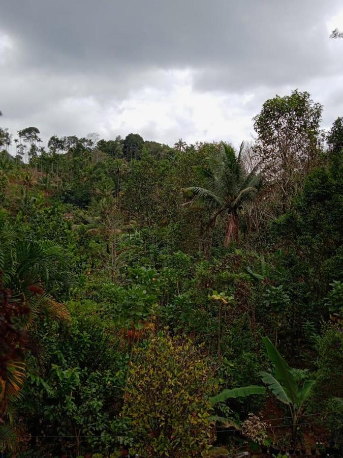 Maliyeckal Homestay ムンナール エクステリア 写真