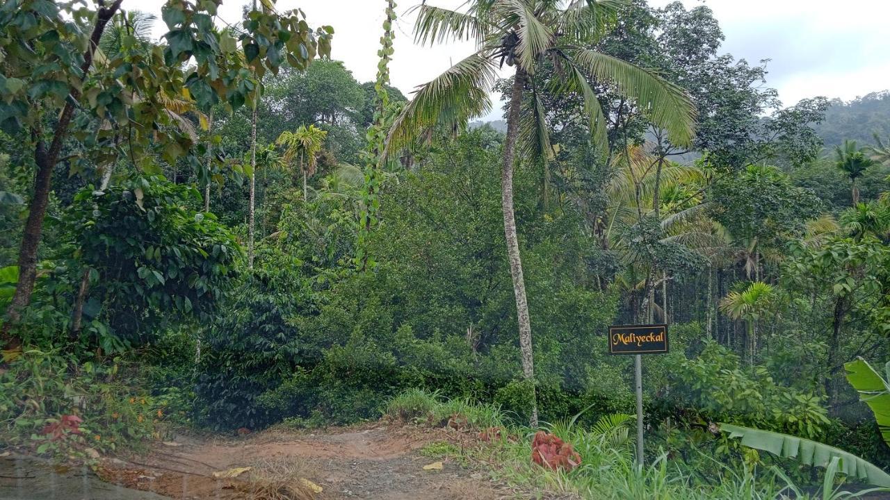 Maliyeckal Homestay ムンナール エクステリア 写真
