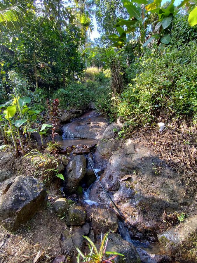 Maliyeckal Homestay ムンナール エクステリア 写真