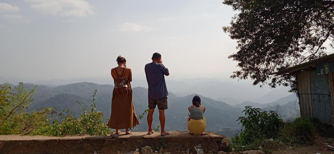 Maliyeckal Homestay ムンナール エクステリア 写真