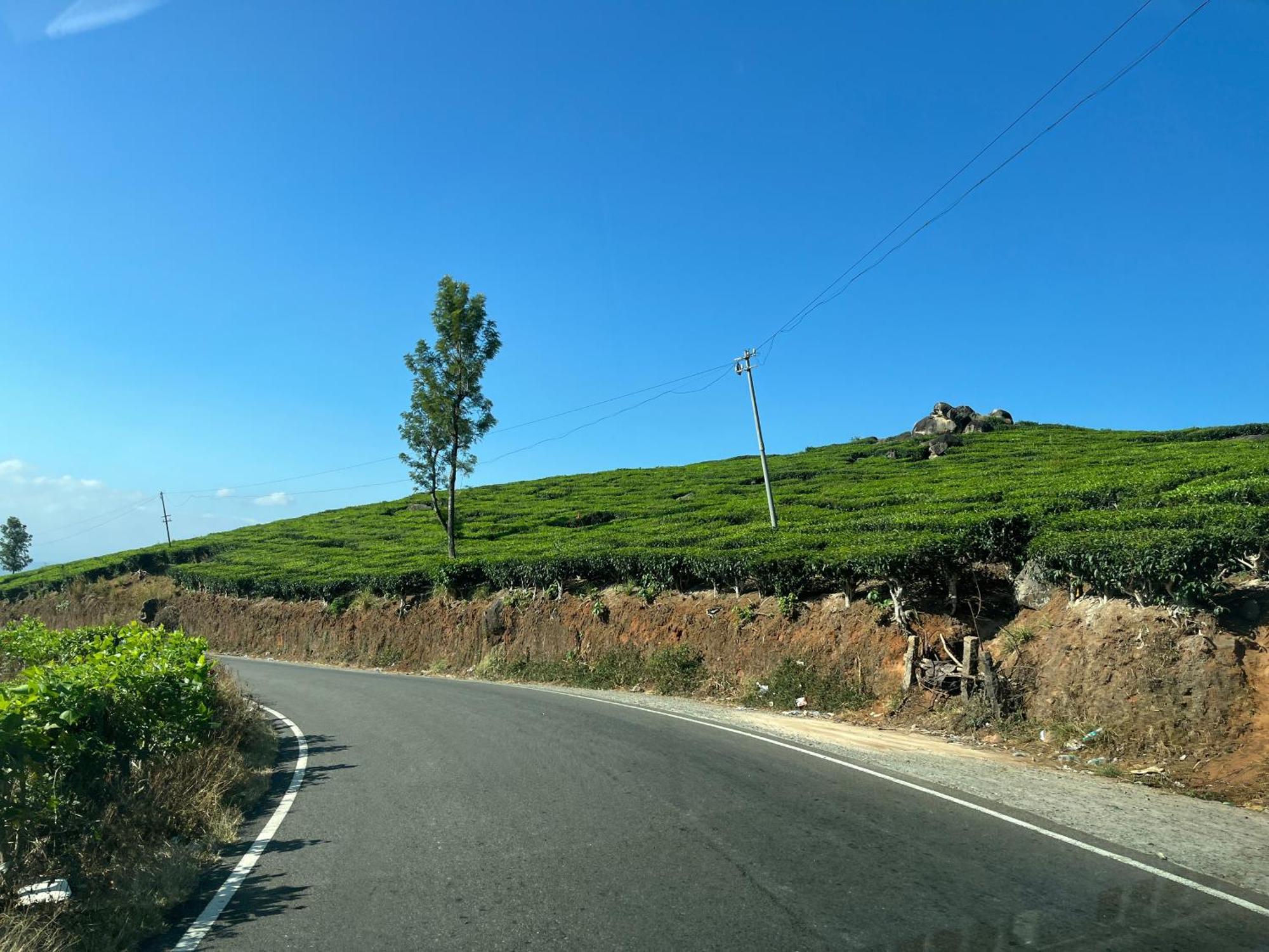 Maliyeckal Homestay ムンナール エクステリア 写真