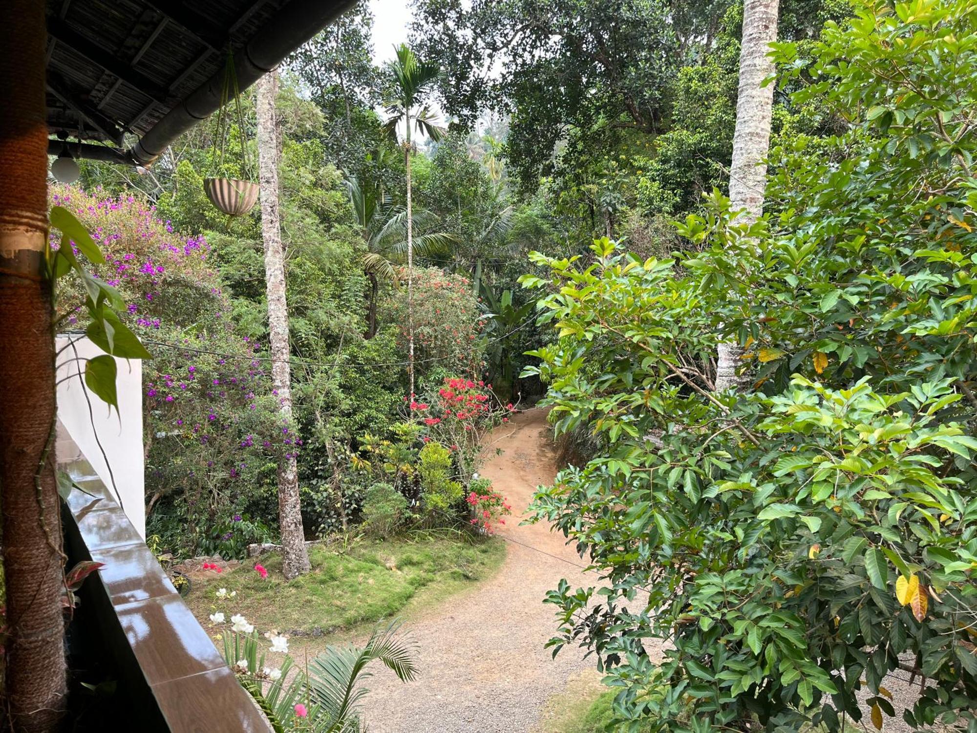 Maliyeckal Homestay ムンナール エクステリア 写真